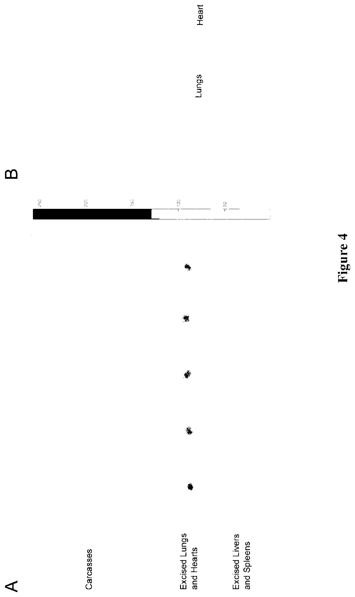 Radiolabelled material for targeted administration