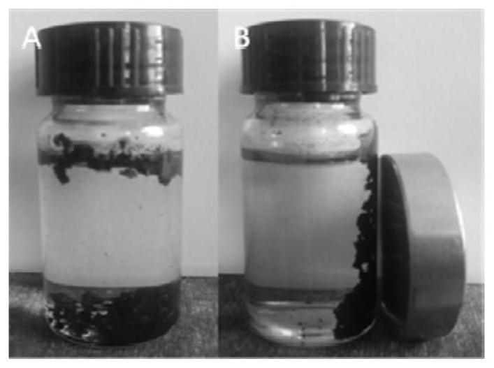 A magnetic carbon airgel for adsorbing antibiotics in wastewater and its preparation method