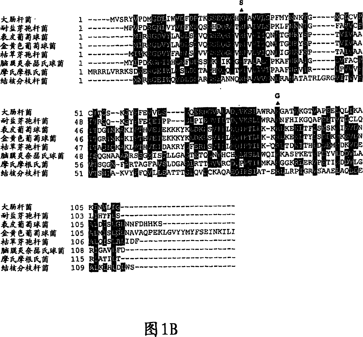 RNA interferases and methods of use thereof