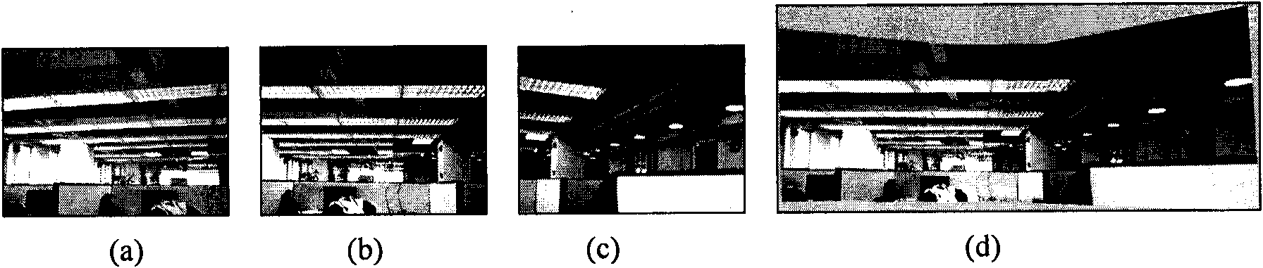 Image mosaic device and method