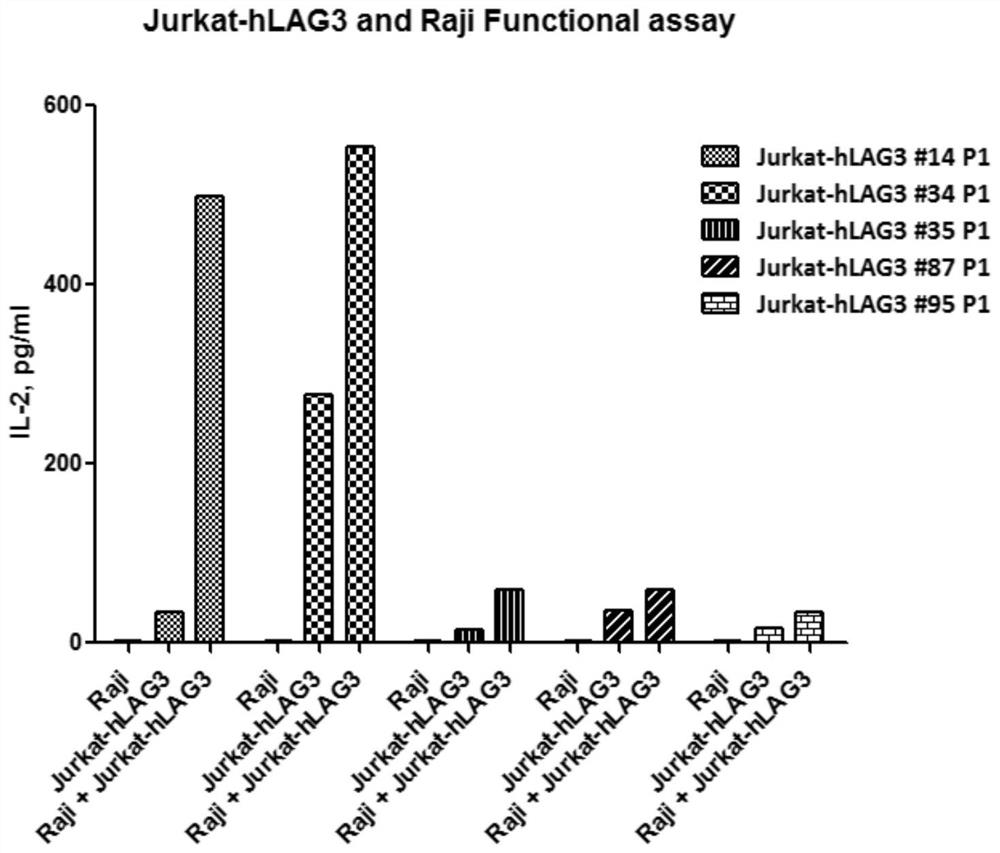 Method and kit for evaluating biological activity of LAG3 antibody