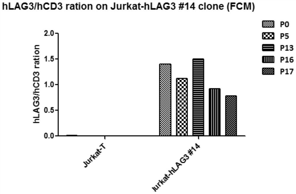 Method and kit for evaluating biological activity of LAG3 antibody