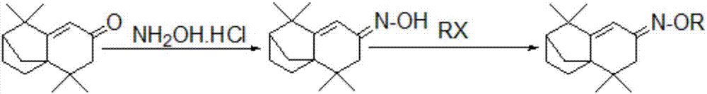 Isolongifolenone oxime ether derivatives and their preparation methods and applications