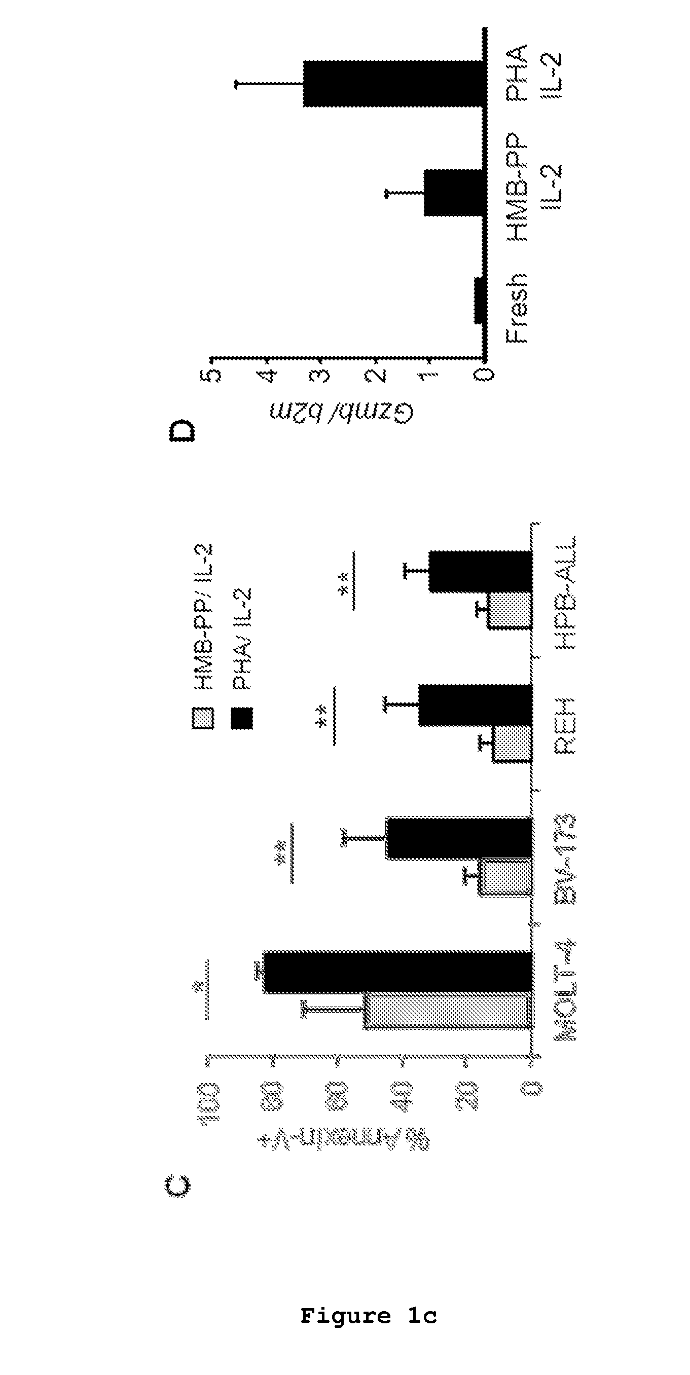 Cell line of lymphocytes comprising gamma-delta t cells, composition and production method thereof