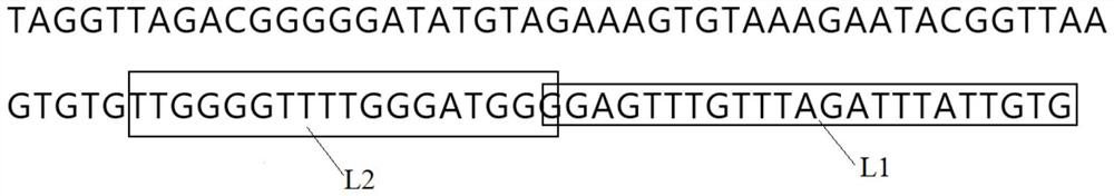 Fluorescent quantitative PCR reaction system, PCR reaction kit and nucleic acid quantitative detection method