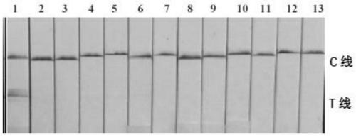 Quick detection method and kit for chicken source component in food