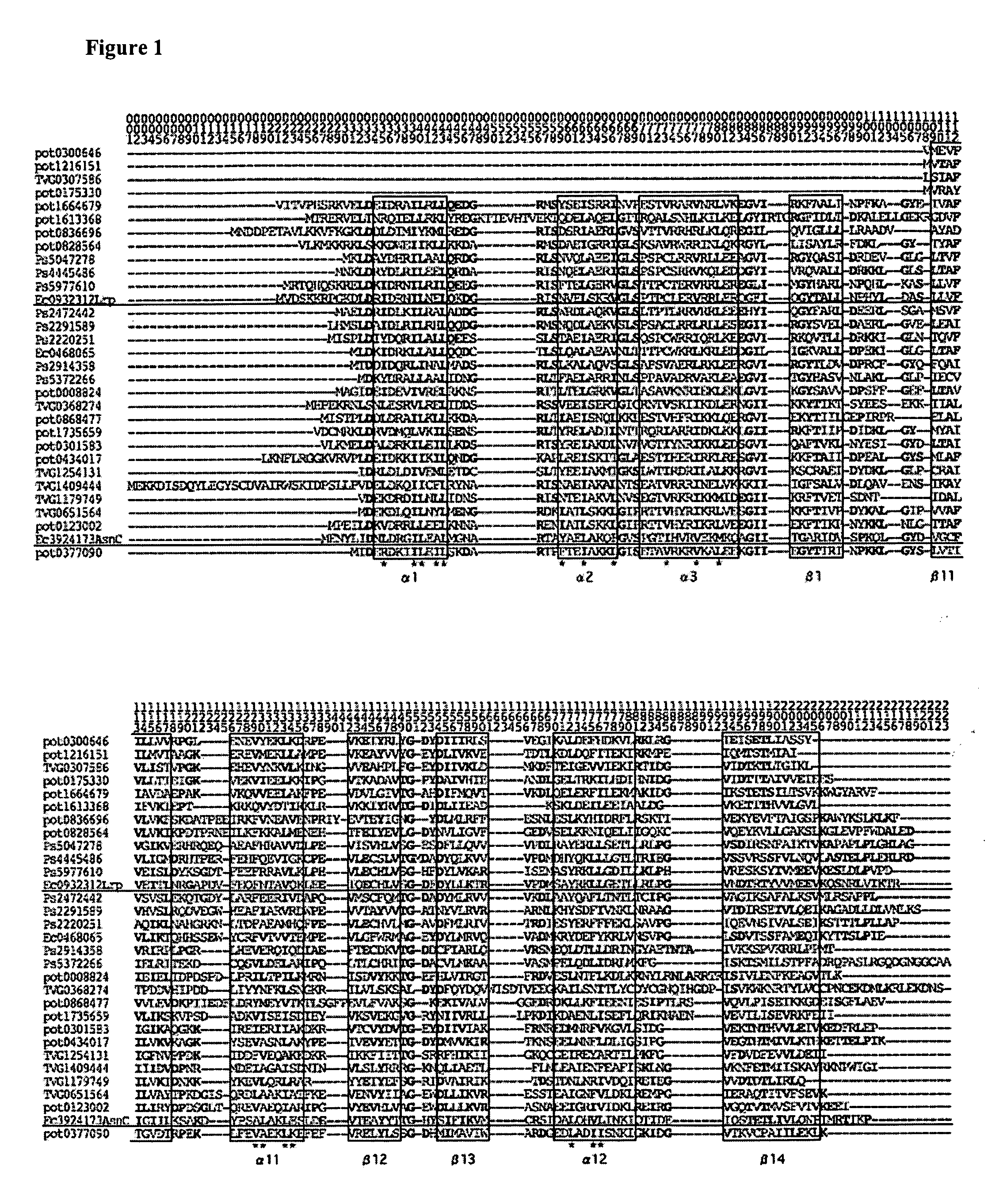 Method of screening for antimicrobial agents