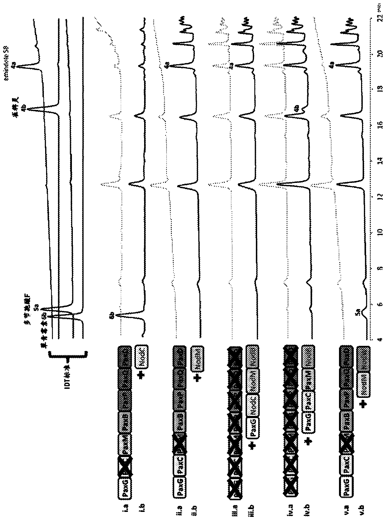 Heterologous biosynthesis of nodulisporic acid