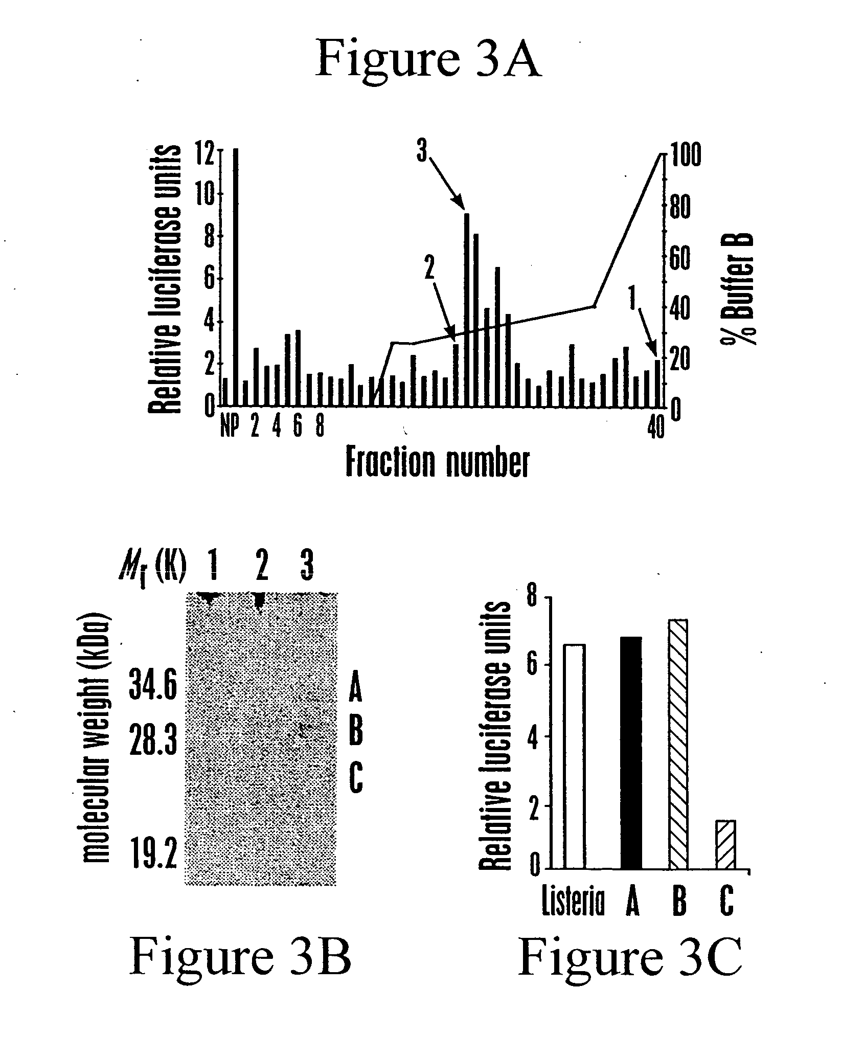 Toll-like receptor 5 ligands and methods of use