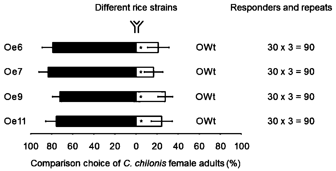 Application of rice terpene synthetase tps46 gene and metabolite thereof in controlling Chilo suppressalis