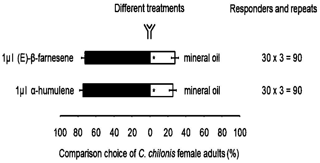 Application of rice terpene synthetase tps46 gene and metabolite thereof in controlling Chilo suppressalis