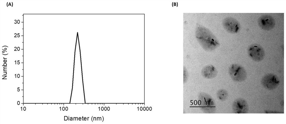 Preparation method and application of self-oxygen-carrying photo-thermal preparation/anthracene endoperoxide/polymer composite nanoparticles