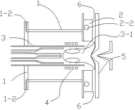 Method and device for gas protection of inductively coupled plasma ion source