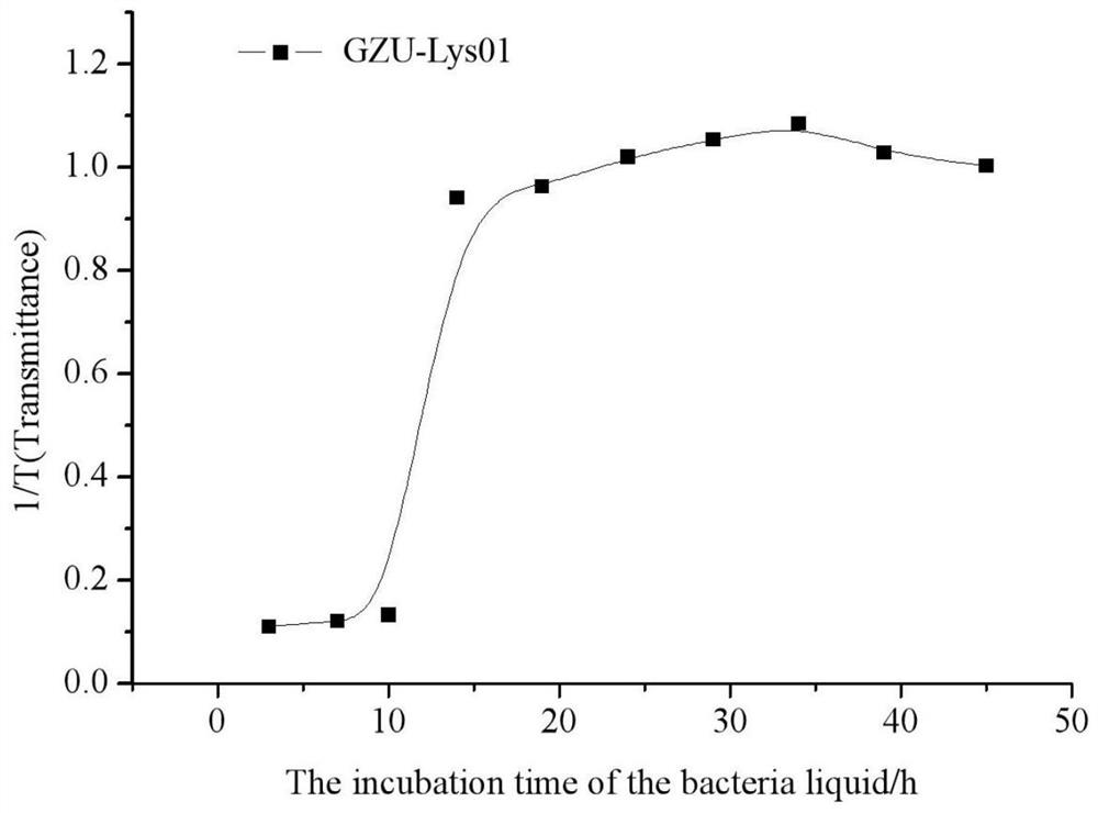 Lysinibacillus fusiformis strain and use thereof