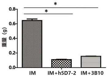 Application of anti-ptn antibody in inhibiting leukemia stem cells and treating chronic myelogenous leukemia