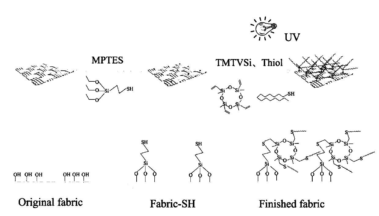 Method for preparing superhydrophobic cotton textile by thiol-ene click chemistry modification