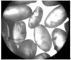 A kind of preparation method of 5-fluorouracil spherical crystal