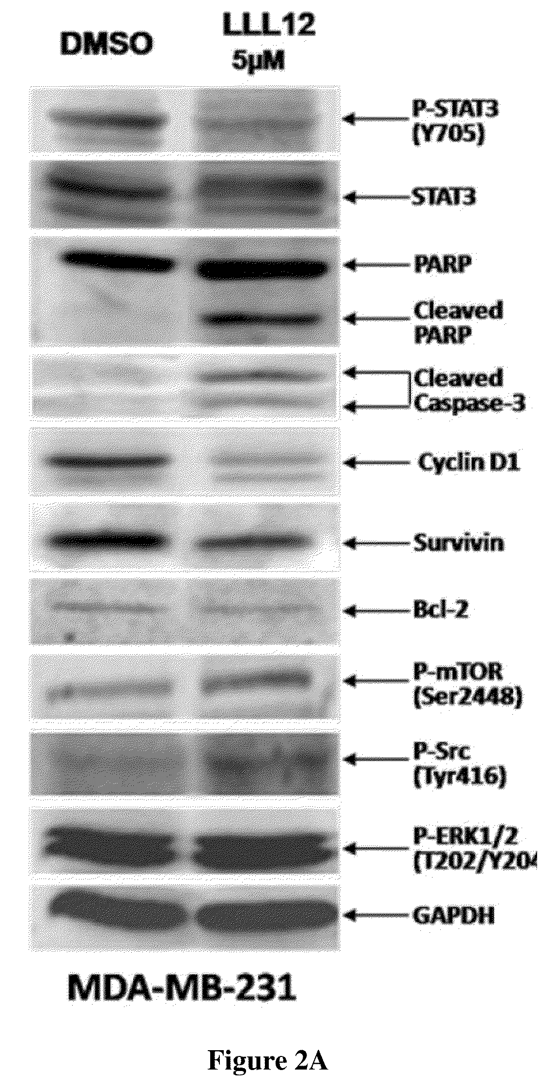 Transcription factor inhibitors and related compositions, formulations and methods