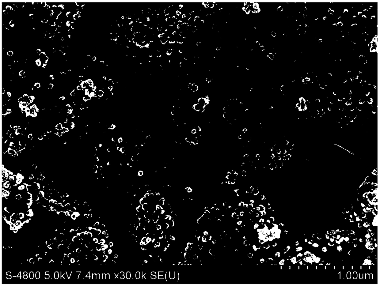 Preparation method of super hydrophobic and oleophobic film for dual-bionic film with photothermal effects