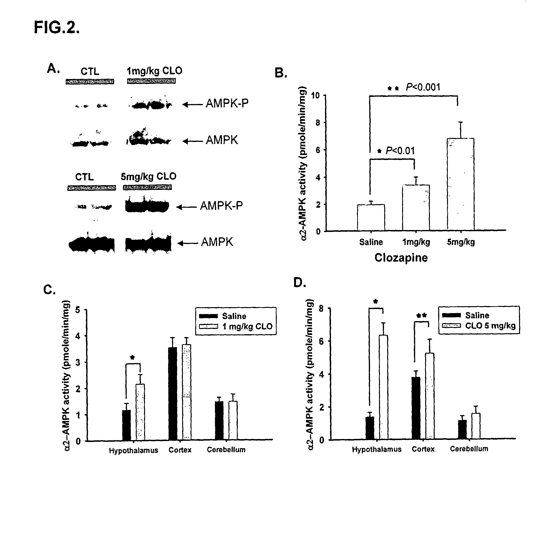 Methods for predicting psychotropic drugs which elicit weight gain
