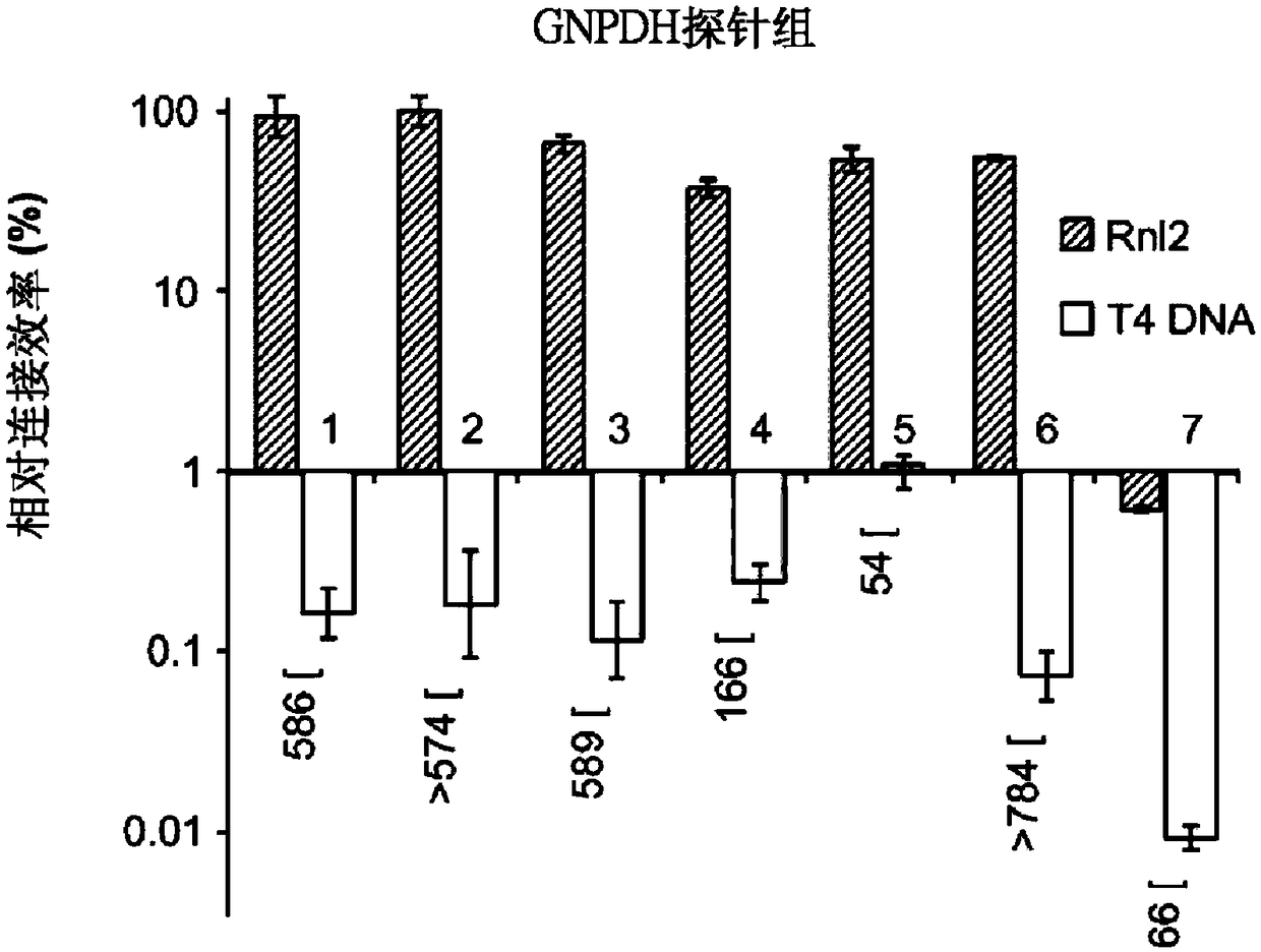 Compositions and methods of RNA analysis