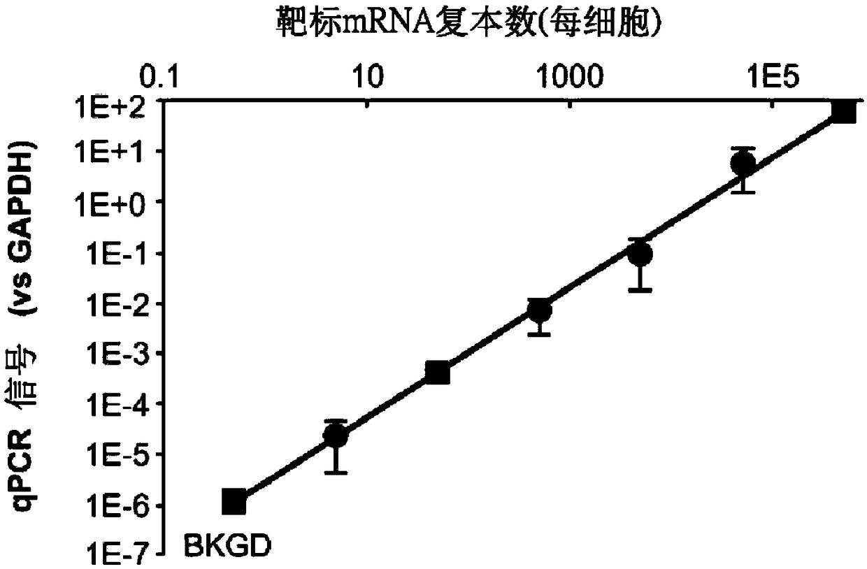 Compositions and methods of RNA analysis