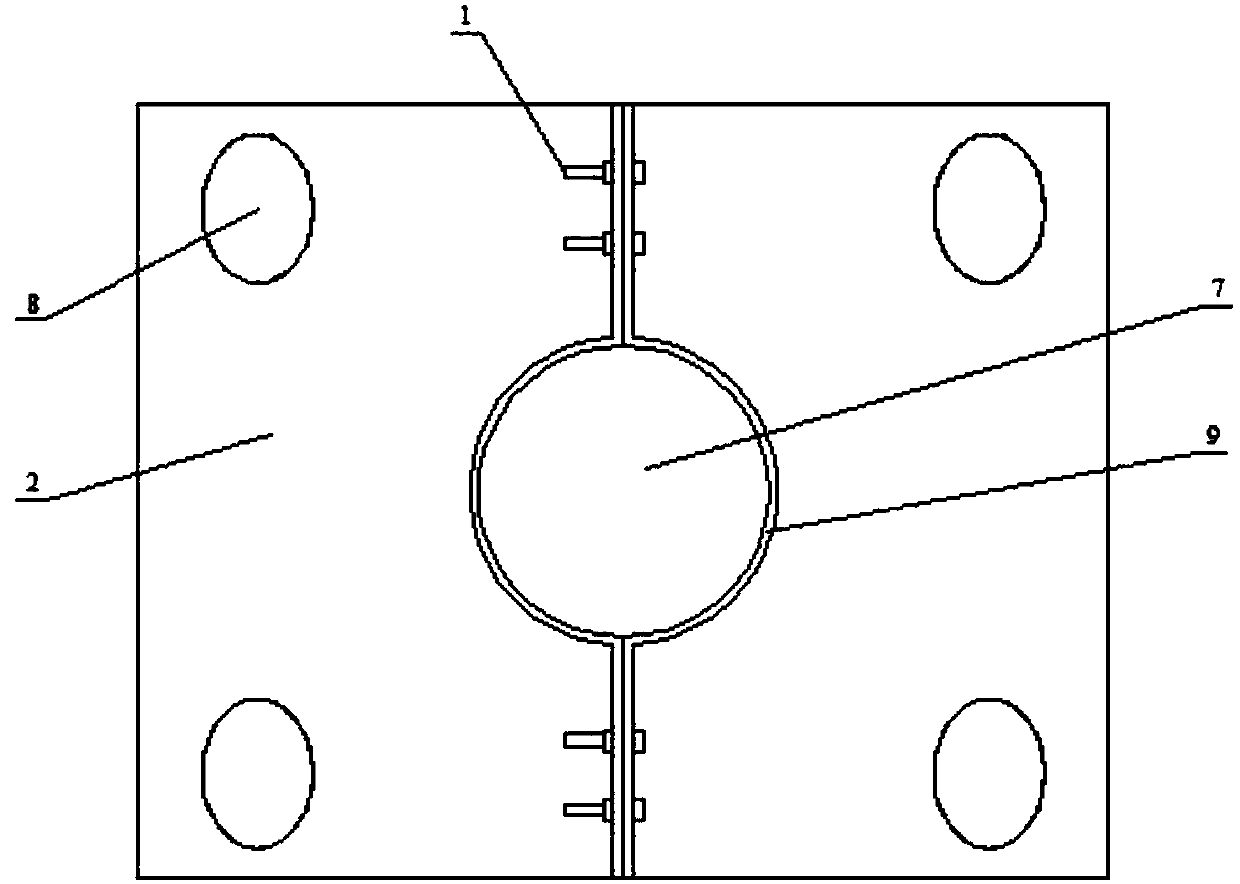 Trunk fixing device for urban landscaping seedling transplanting