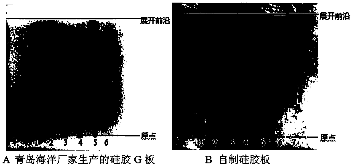 Quality detection method of Yao medicinal herb Pilea cavaleriei subsp. cavaleriei