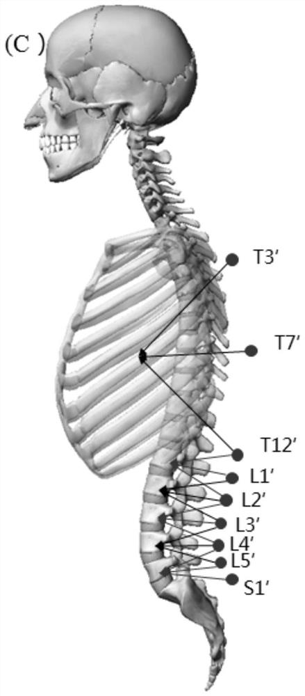 A Fine Driving Method for Spine Motion Model