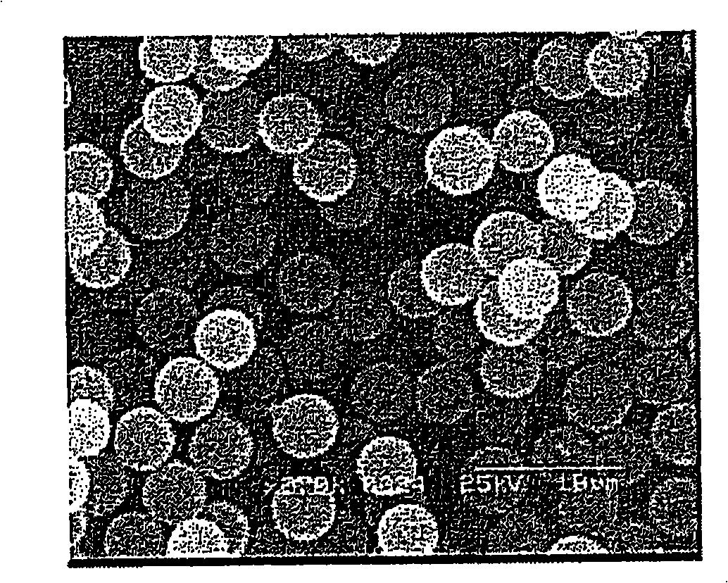 Method for preparing electroconductive particles with improved dispersion and adherence