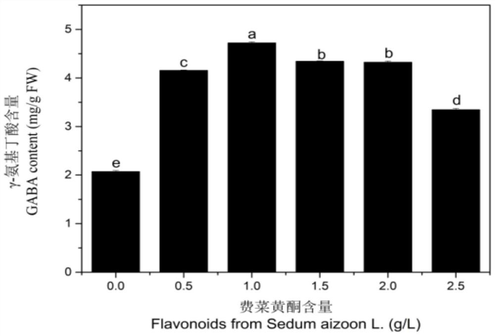 A kind of cultivation method of sprouts rich in GABA and anthocyanin and its preparation method of fermented milk drink