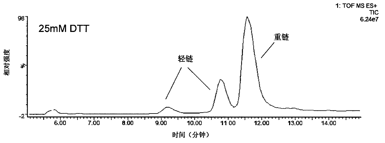 Method for determining immunoglobulin charge isomer glycosylation and terminal modification states