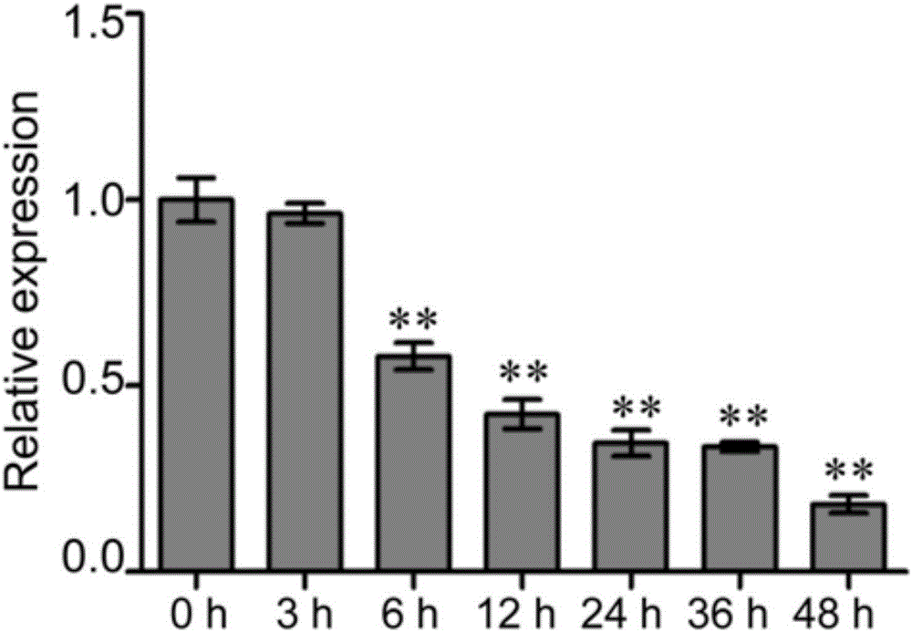 miRNA related with resistance on phytophthora root rot of soybean and application thereof