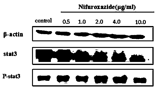 Novel medical application of Nifuroxazide