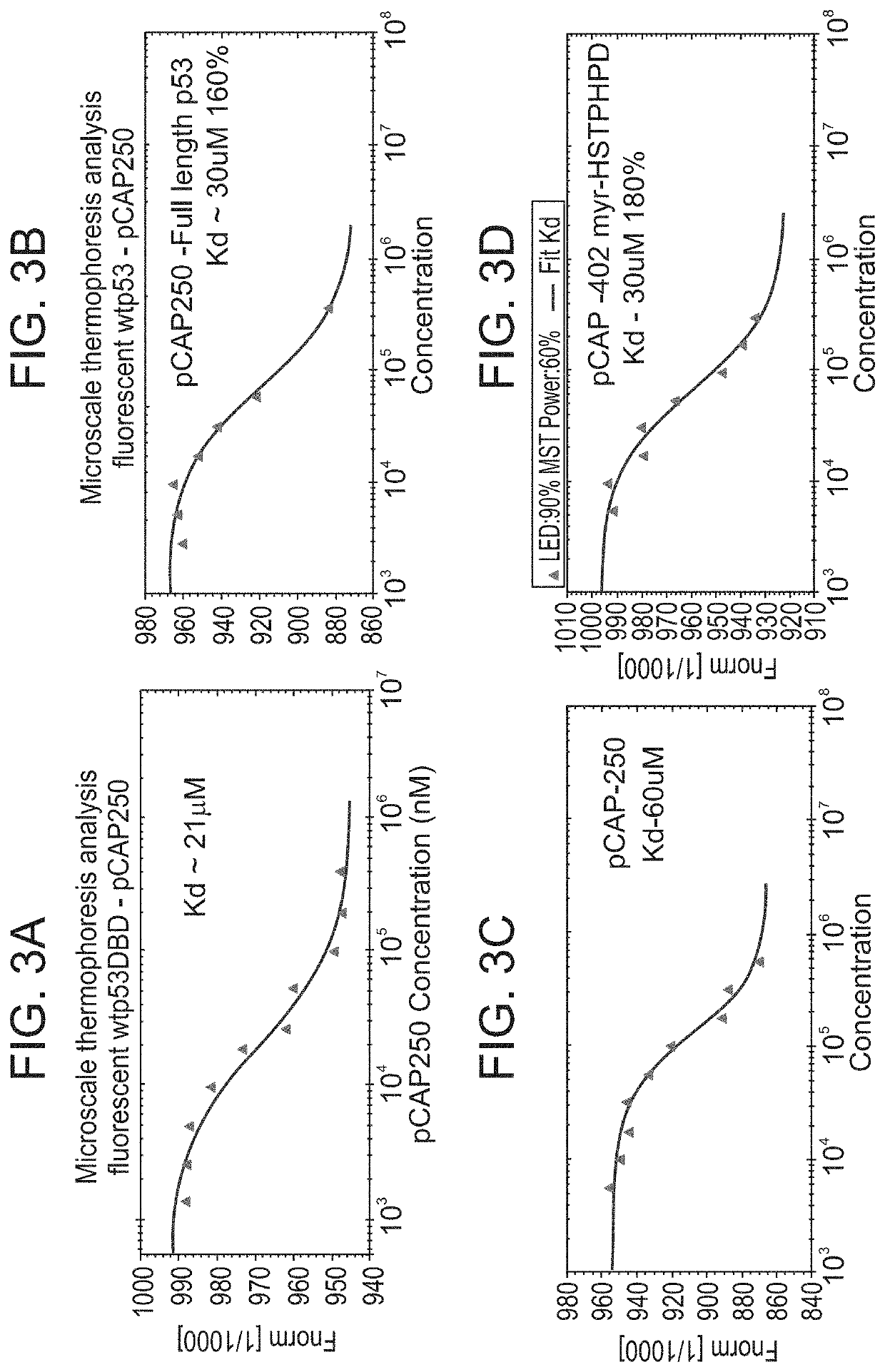 Peptides and use of same in the treatment of diseases, disorders or conditions associated with a mutant P53