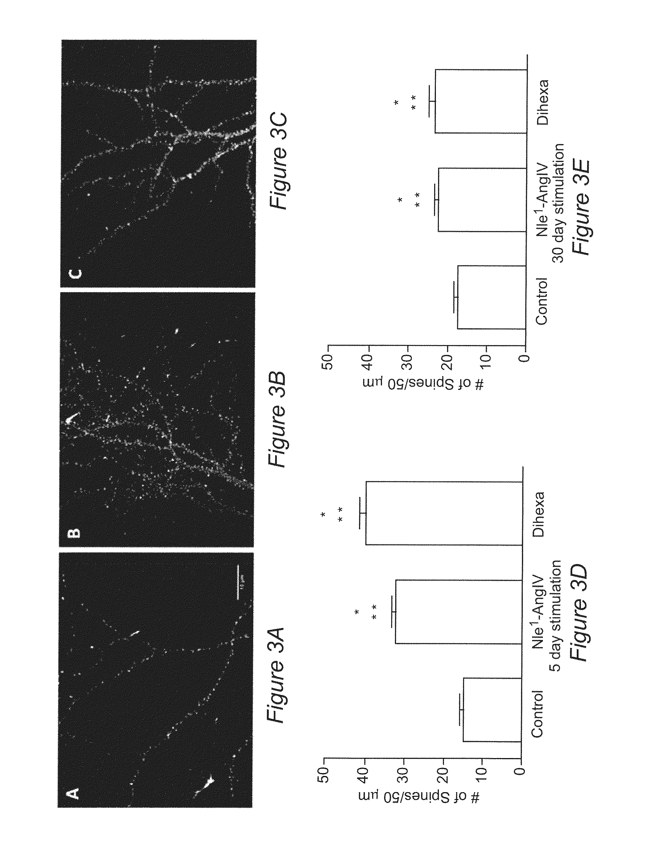 Hepatocyte growth factor (HGF) mimics as therapeutic agents