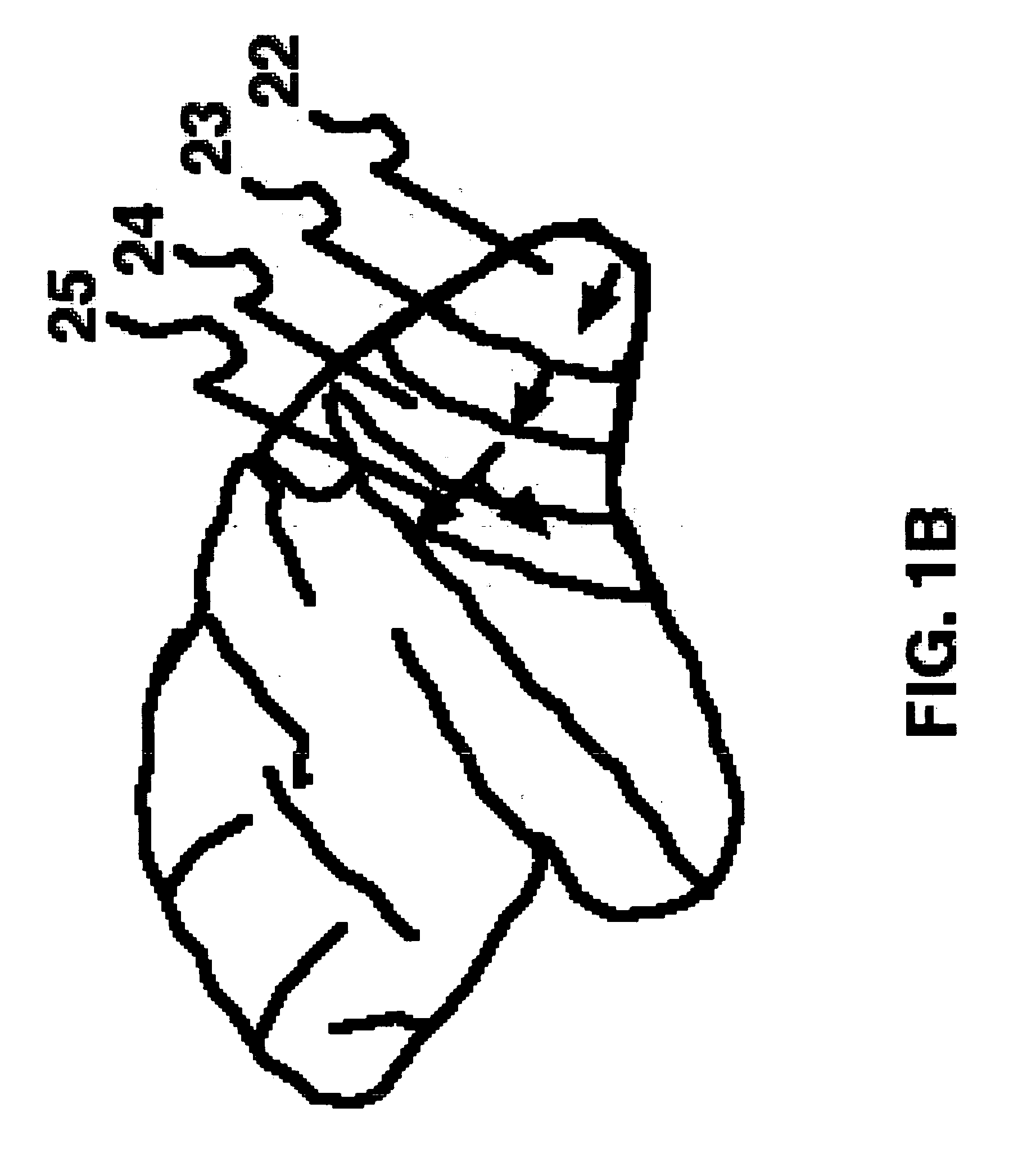 Method for assessment of color processing mechanism in the human brain for diagnosis and treatment