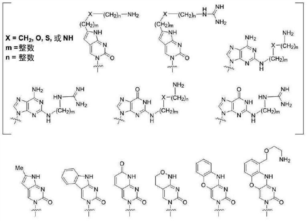 Acetyl-coa carboxylase2 antisense oligonucleotides