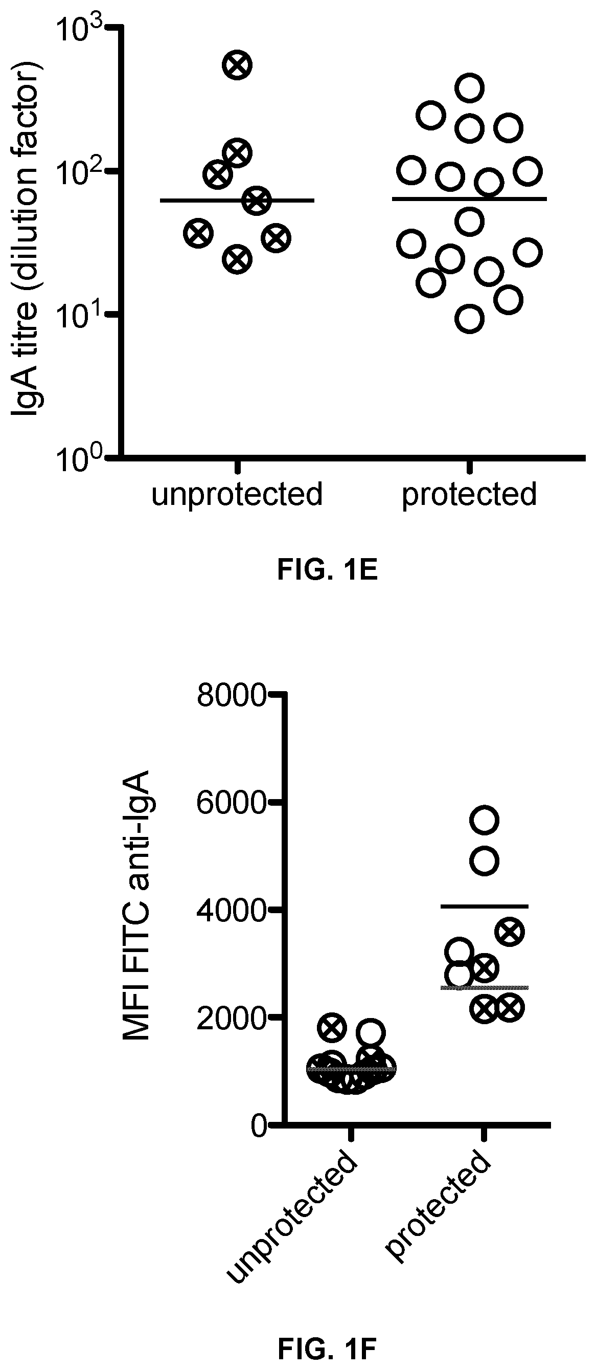 New immunogenic compositions