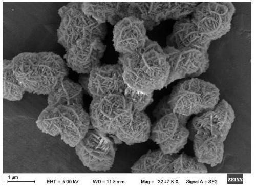 Preparation method of cobalt molybdate/nickel cobaltate composite material with three-dimensional flower-ball-shaped structure