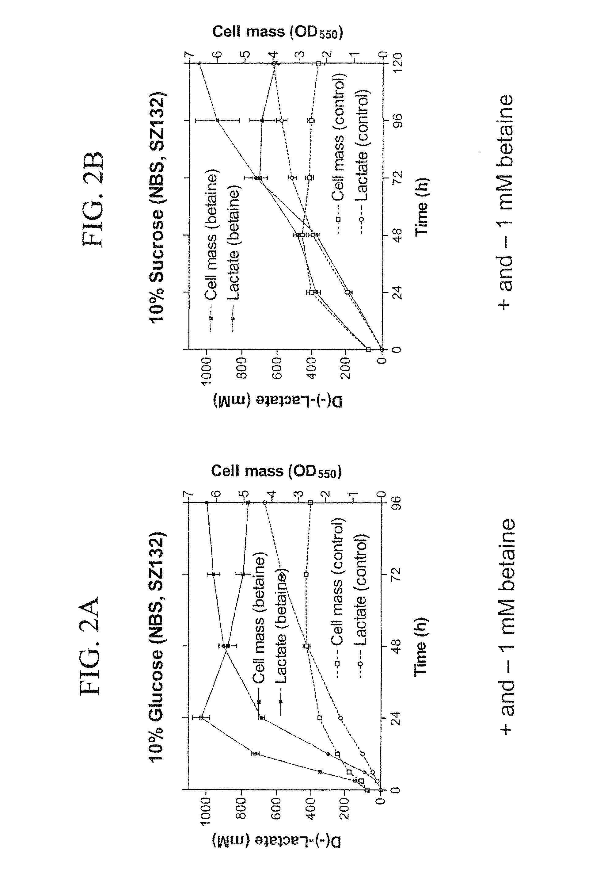 Materials and Methods for Efficient Lactic Acid Production