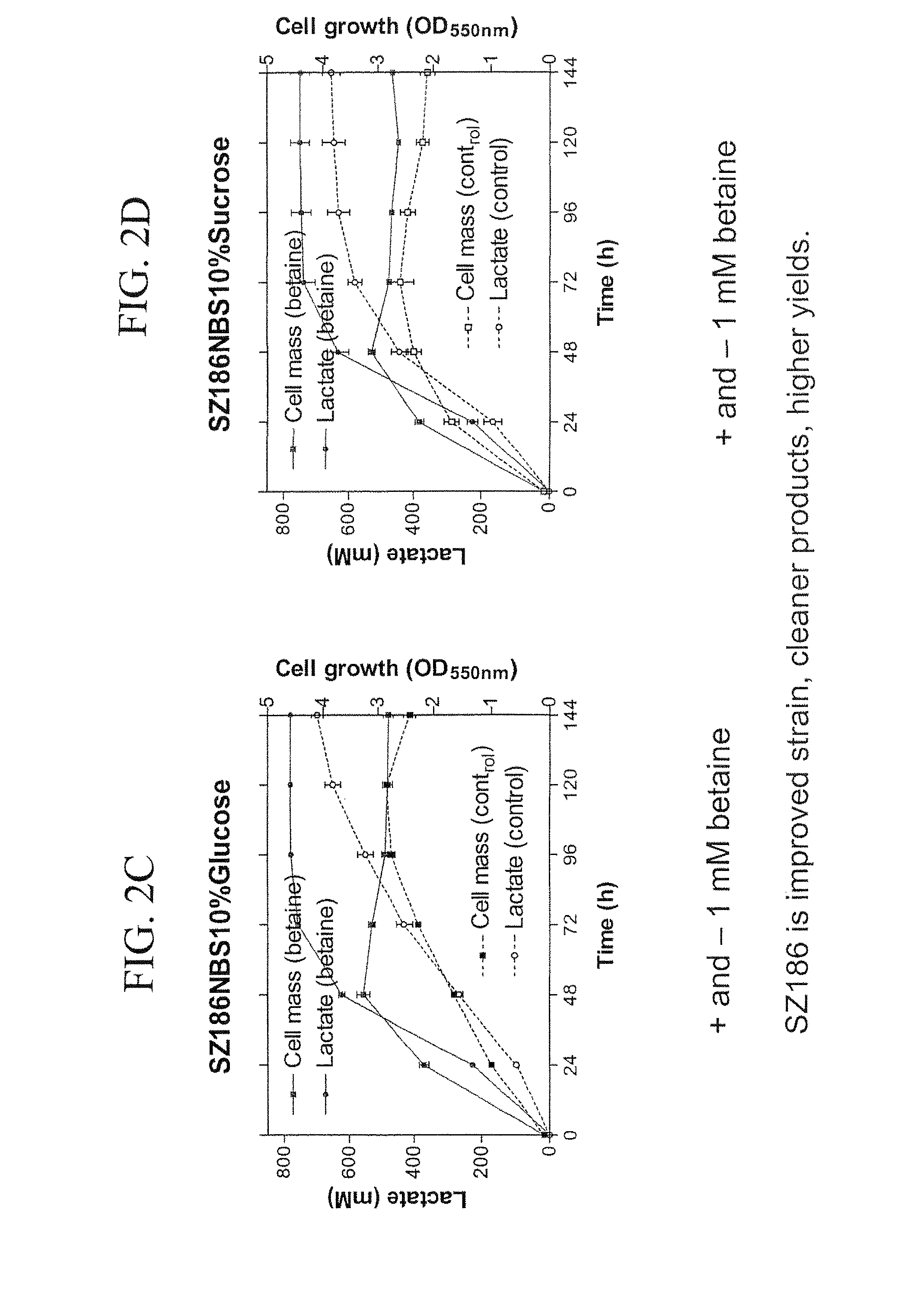 Materials and Methods for Efficient Lactic Acid Production