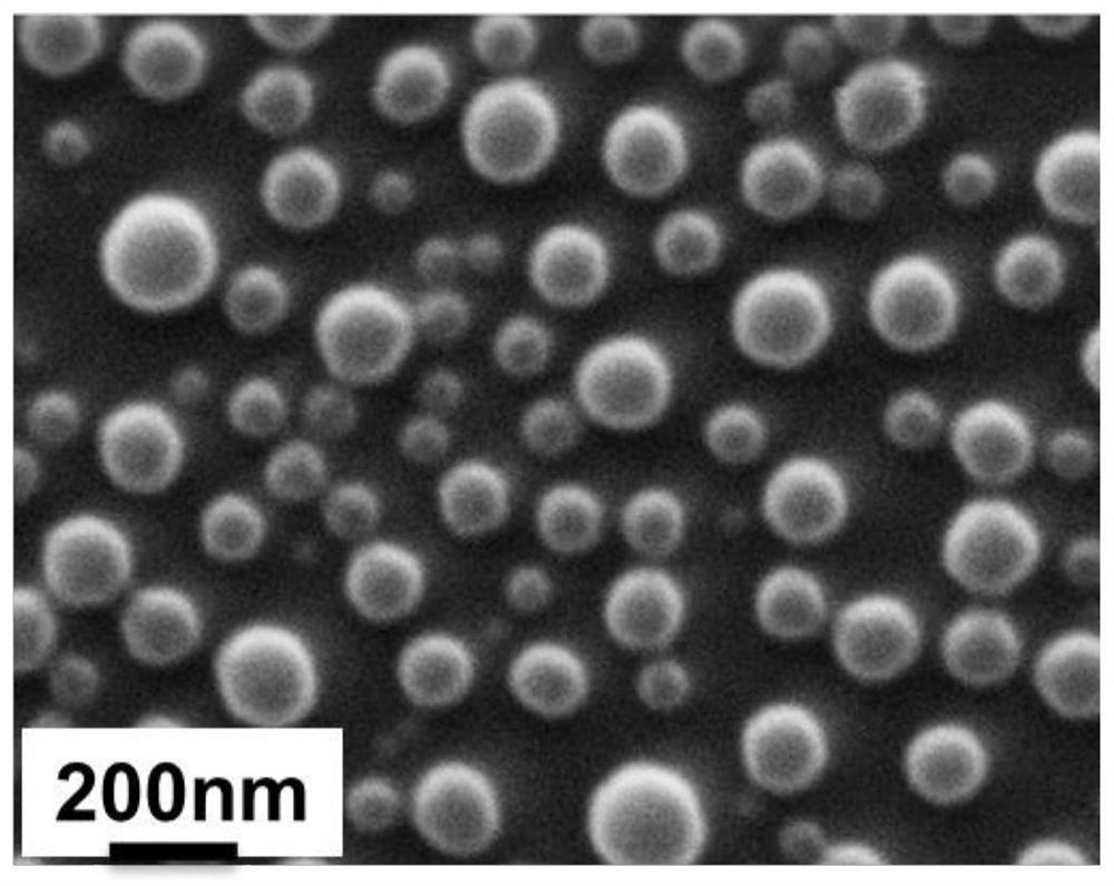 A kind of polypeptide-based polyester ammonia nanoparticles and its preparation and application