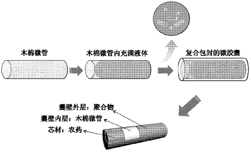 Pesticide microcapsule and preparation method thereof