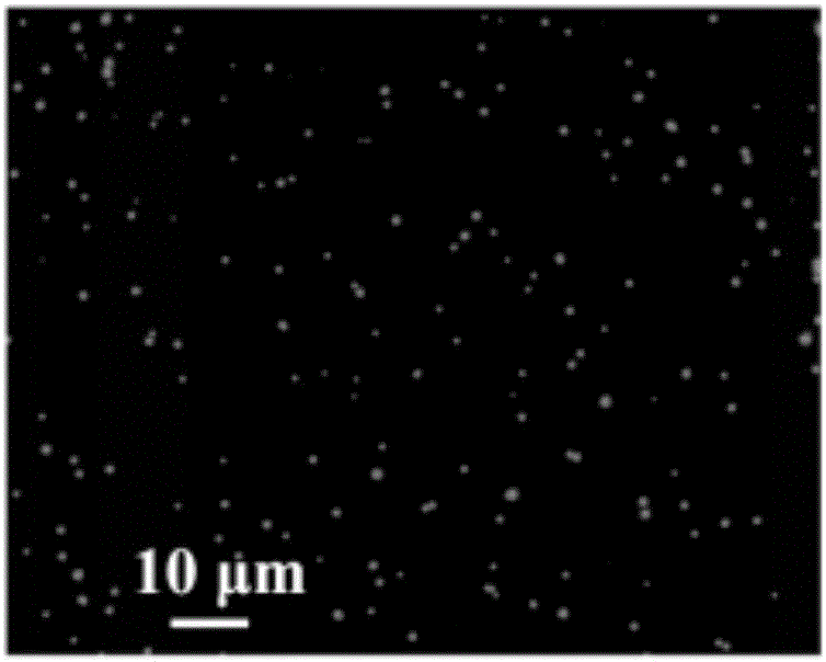 Preparation of colorimetric and fluorescent double-signal nanospheres and application of colorimetric and fluorescent double-signal nanospheres to immunochromatographic quantitative detection