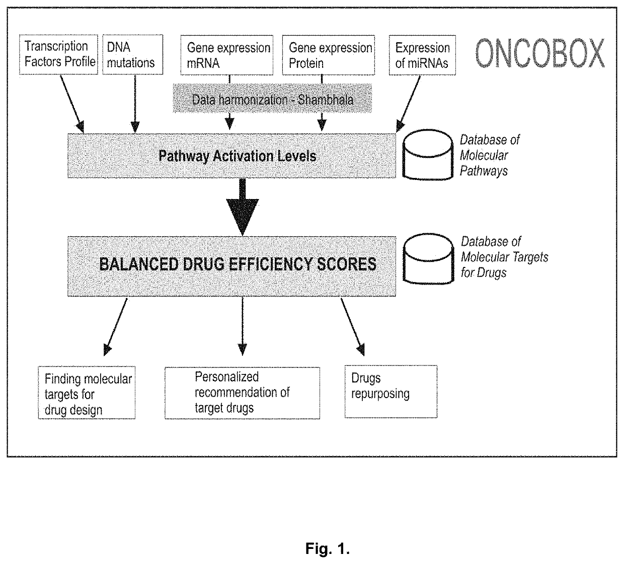 Genetic Information Analysis Platform Oncobox