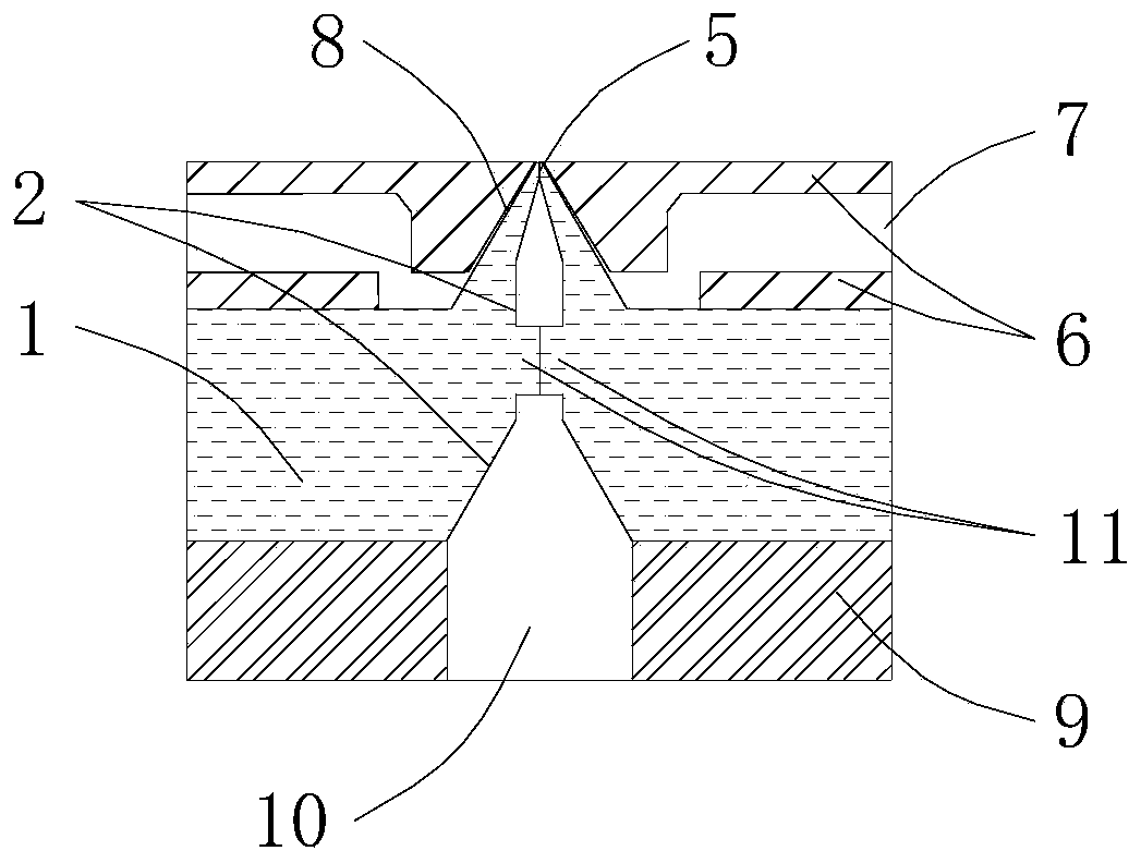 Spinneret plate and processing method thereof