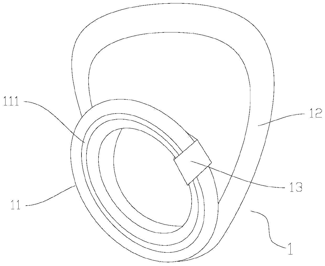 Toilet lid, toilet and toilet seat cleaning method