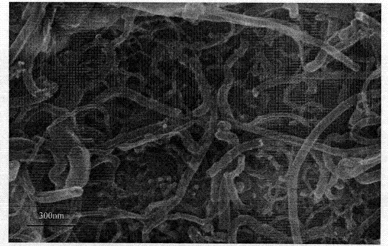 Electrochemical modification treatment method of carbon nanotubes