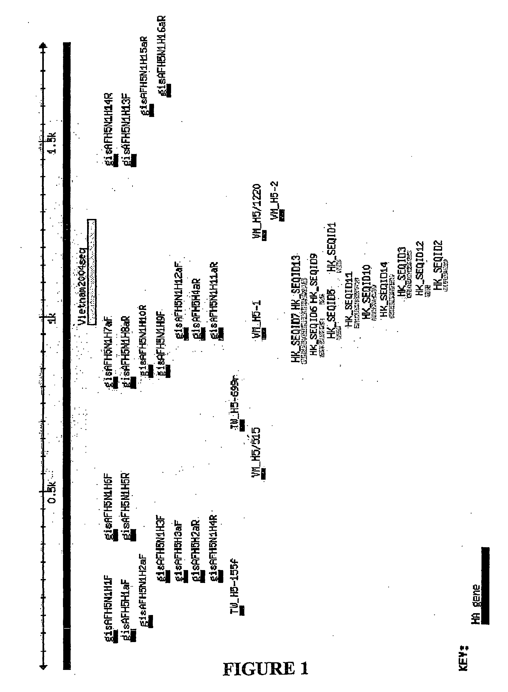 Diagnostic Primers and Method for Detecting Avian Influenza Virus Subtype H5 and H5n1